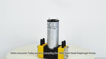 YW02 dual head miniature diaphragm pump