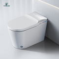 Chaozhou WC Ceramic Intelligent Automatic Korean Smart Japanese Premium Toilet1