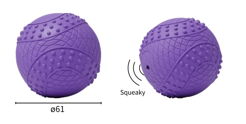 Squeaky Dog Toys