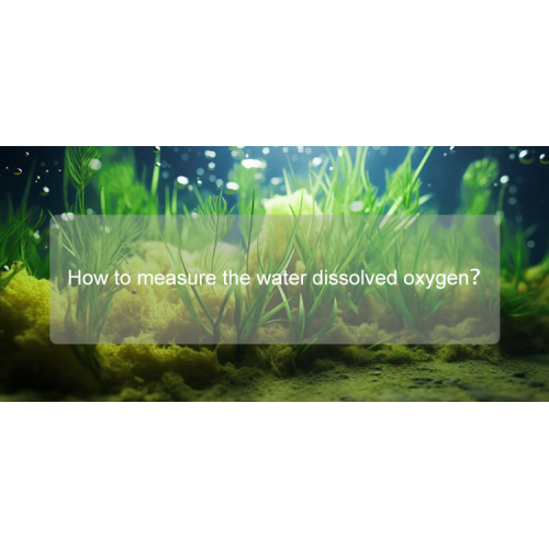 How to measure the water dissolved oxygen value?
