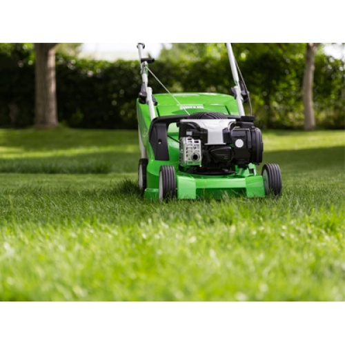 Transformações globais da indústria de cortadores de grama: eletrificação e autonomia impulsionam aumento de crescimento em 2026