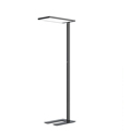 Modern Office Standing Lamps with Smart Sensing Dimming, UGR < 16, and Popular Design E2961