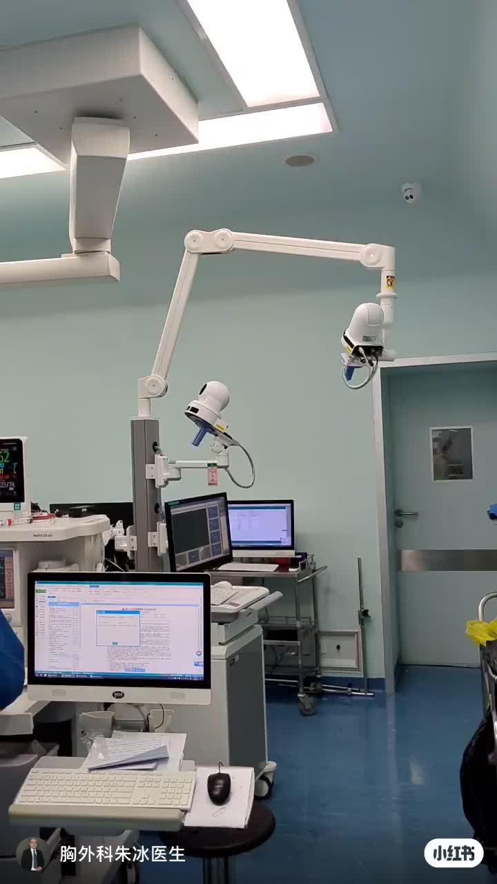 Xinjiang Jishi International Trade Co., Ltd