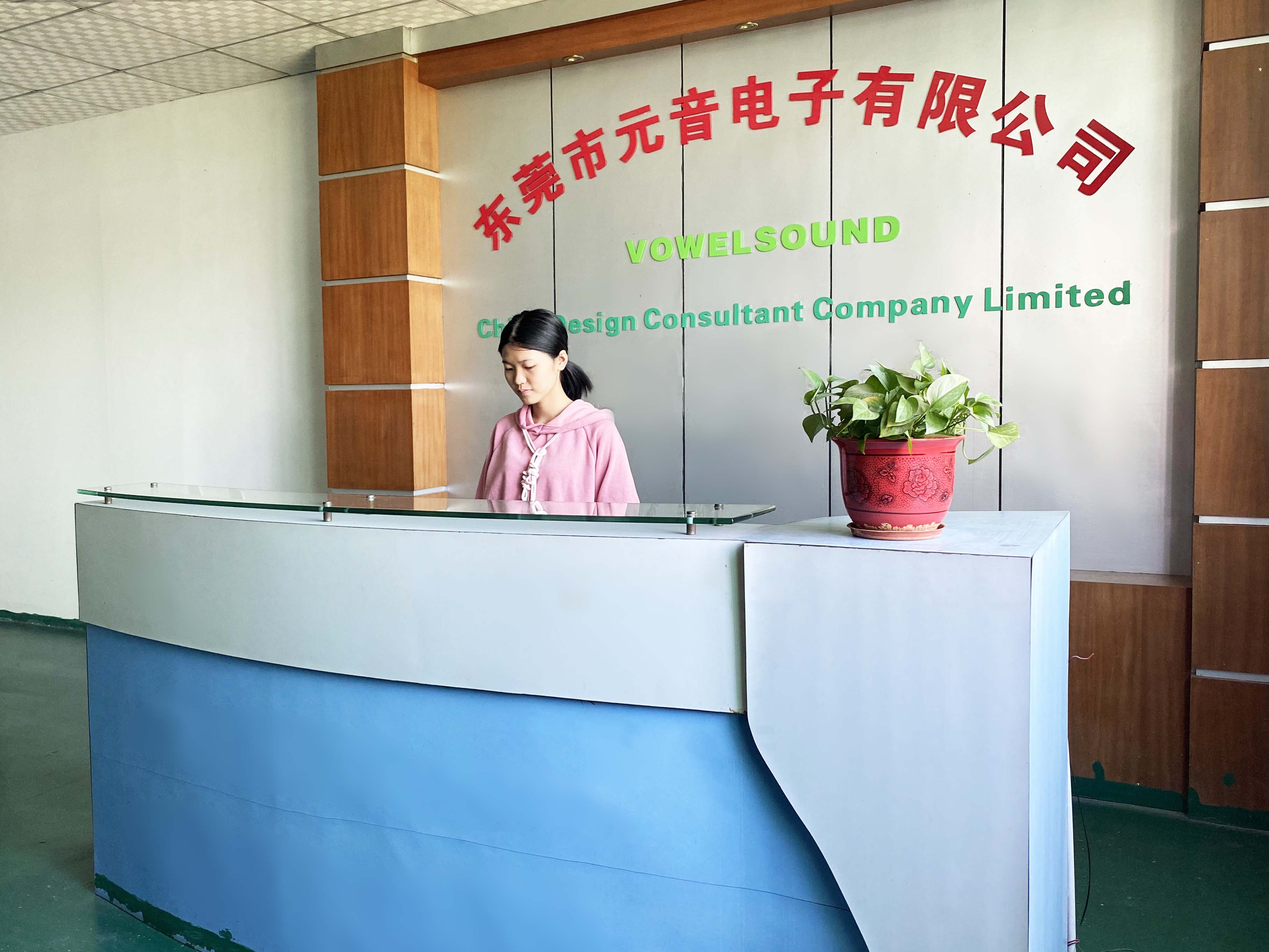 Dongguang Vowsound Electronics Co., Ltd.