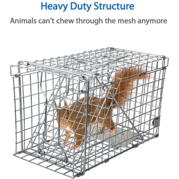 China Top 10 Collapsible Squirrel Trap Cage Potential Enterprises