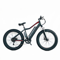 Affordable 26\" 48V 500W Electric Mountain E-Bike with Fat Snow Tires - USA Market1