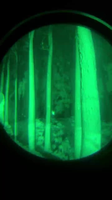Directly From Manufacturers: Outlook Green Phosphor FOM 1600 PVS 3114 Night Vision Goggles1