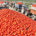 Large capacity tomato paste tomato sauce tomato ketchup making machine1