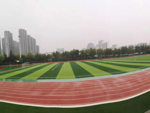 Aperçu de l'industrie : Gazon artificiel pour sports – La surface ultime pour les terrains d'entraînement à haute intensité