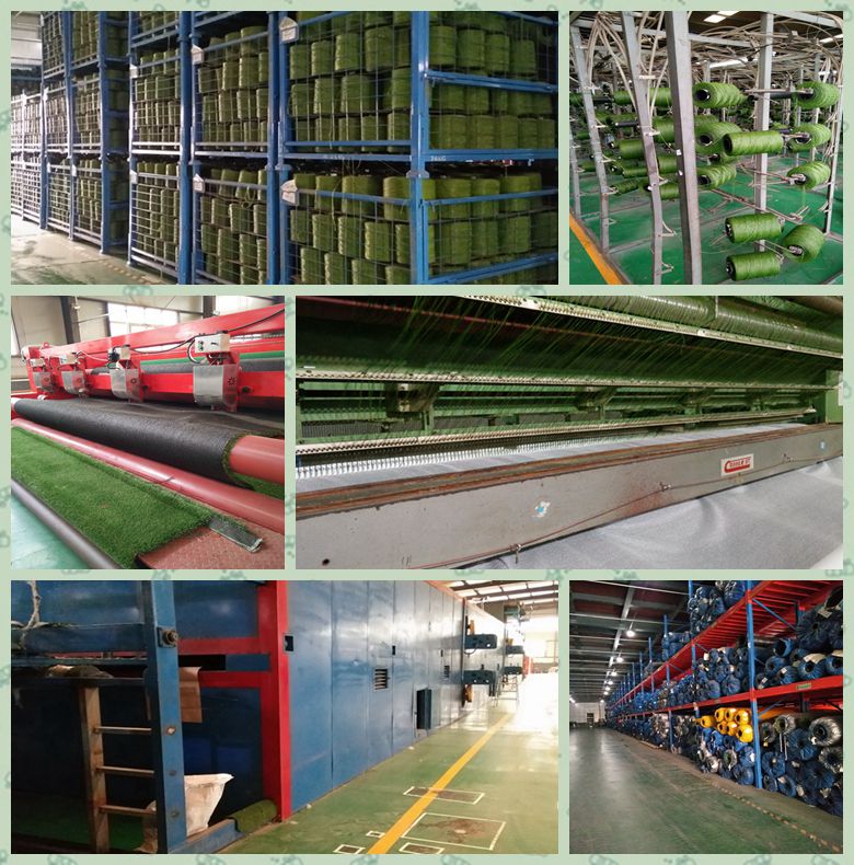 Shijiazhuang Sothink Trading Co., Ltd.