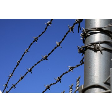 Top 10 Galvanized Barbed Wire Manufacturers