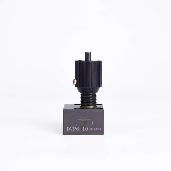 DVP6 throttle valve