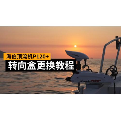 更换转向箱密封