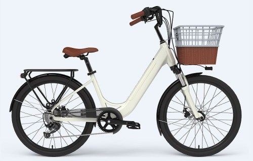 The Standardization of Electric Bicycles is Expected to Further Increase Industry Concentration