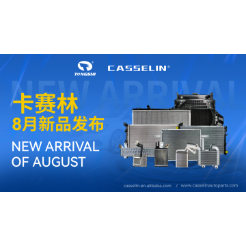 CASSELIN NEW ARRIVAL IN AUGUST, 2026