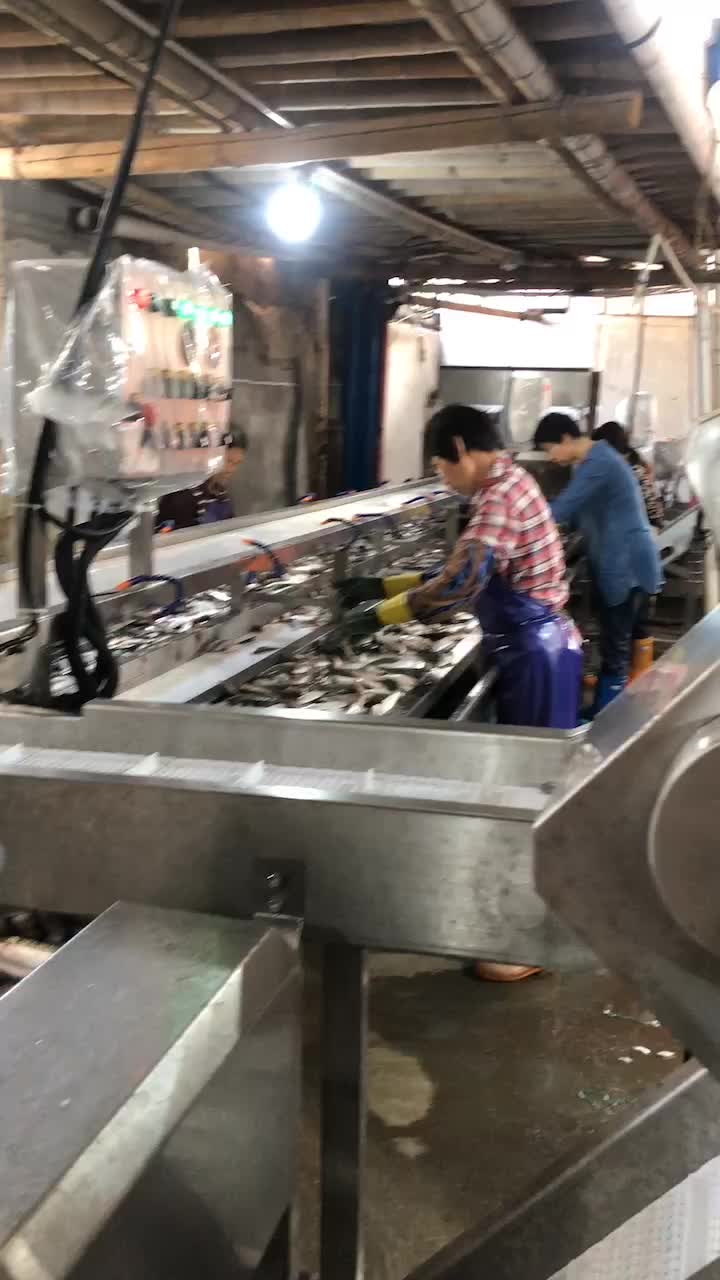 fish production line