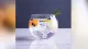 Classico Balloon Fishbowl Forma Libera di gin senza stelo chiaro