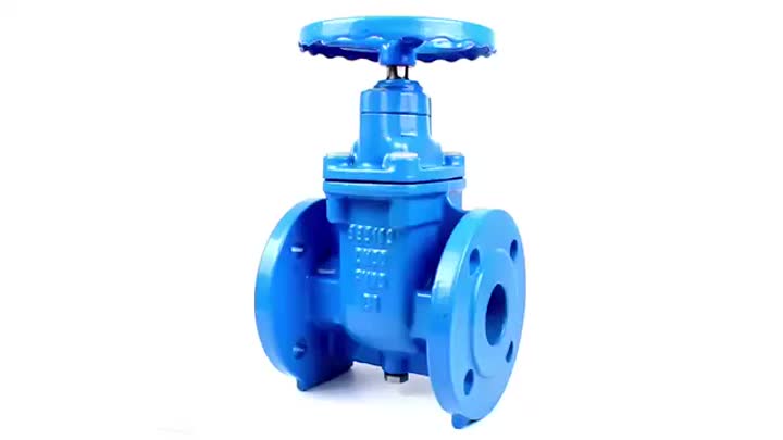 Soft Seal Seat Seal Gate Valve Display