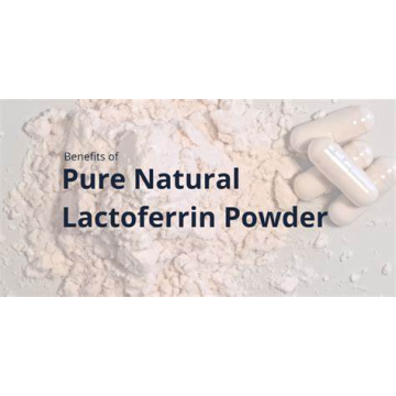 What is the Function of Lactoferrin?
