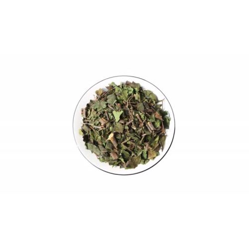 Mulberry Mistletoe