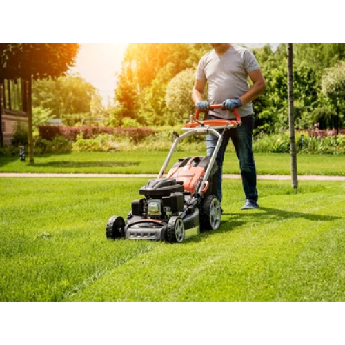 Küresel İki Tekerlekli Manuel İtmeli Biçme Makinesi Endüstrisi: Sürdürülebilirlik, Malzeme Yeniliği ve Tüketici Talebinin Yükseltilmesi İstikrarlı Büyümeyi Destekliyor