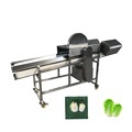 Stainless Steel Vegetable Half Cutting Machine for Sauerkraut, Cabbage, Tomatoes, and Peppers1