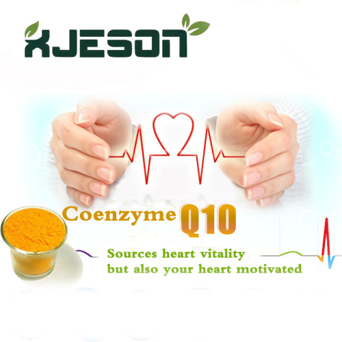 Coenzyme Q10 : 항산화 및 면역 지원에 대한 안내서