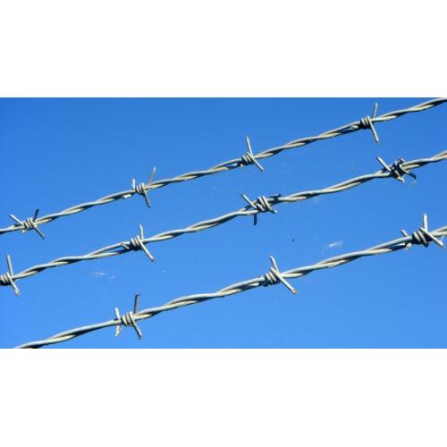 Una guida completa al filo spinato: usi, tipi e suggerimenti per l'installazione