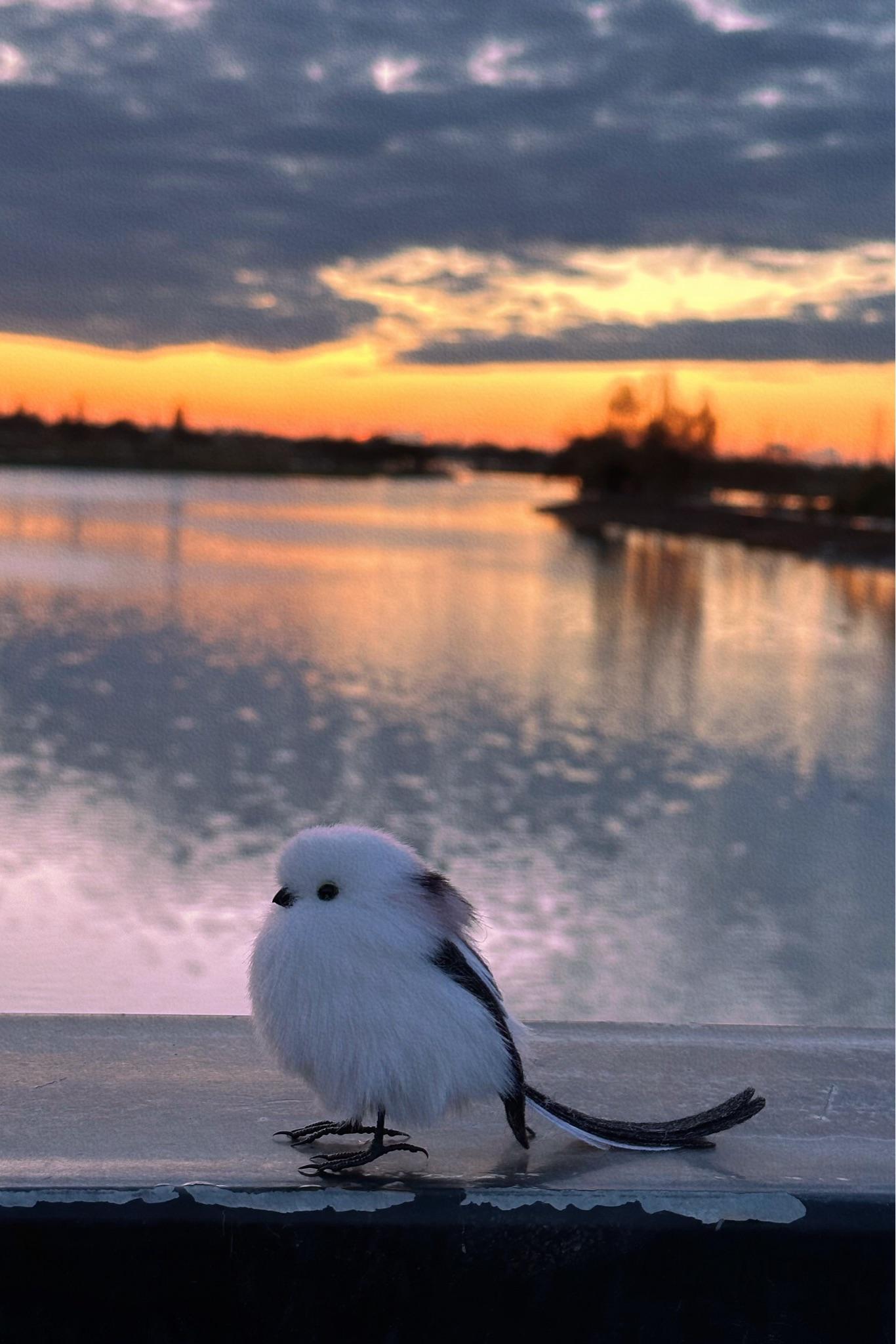 videogoo status off1