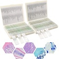 Prepared Human Histology Slide Set - FRT2001: 100 Epithelial Tissue Types for Anatomy and Physiology Course1