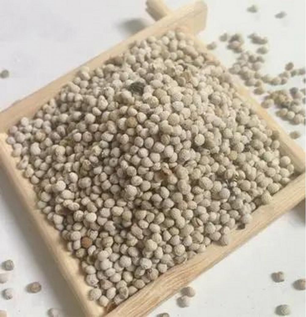 Perilla Seeds Korean