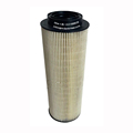 Diesel Fuel Filter Element 2133096 2133096PE 2164463 2164463PE 2277129 2277129PE 1852006 1852006PE1