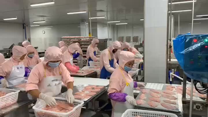 Congélateur de tunnel pour filets de poisson