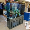Fish Tank Large Holding Professional Glass Manufacturer Customized Aquarium Autumn Home Decoration Square Sustainable 4.5L1