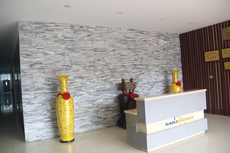 Changzhou Saludsolo Medical Instrument Co.,Ltd