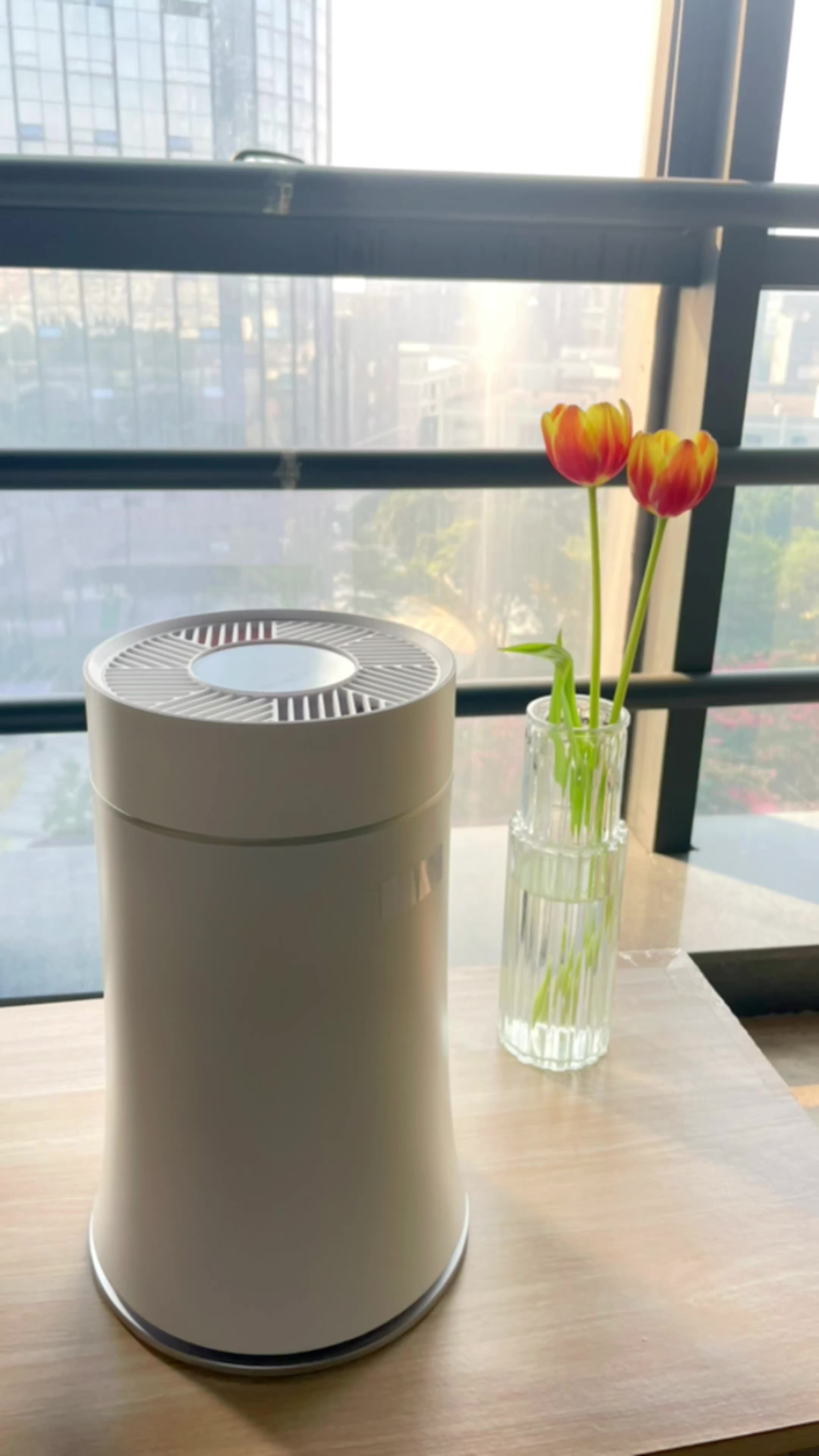 Werksdirekte neue Home Desktop Negativer Ionenluftpurifier1