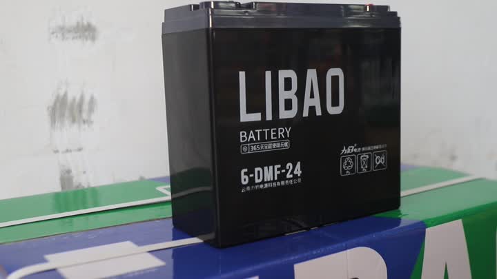 Batería de plomo-ácido de 12V24AH