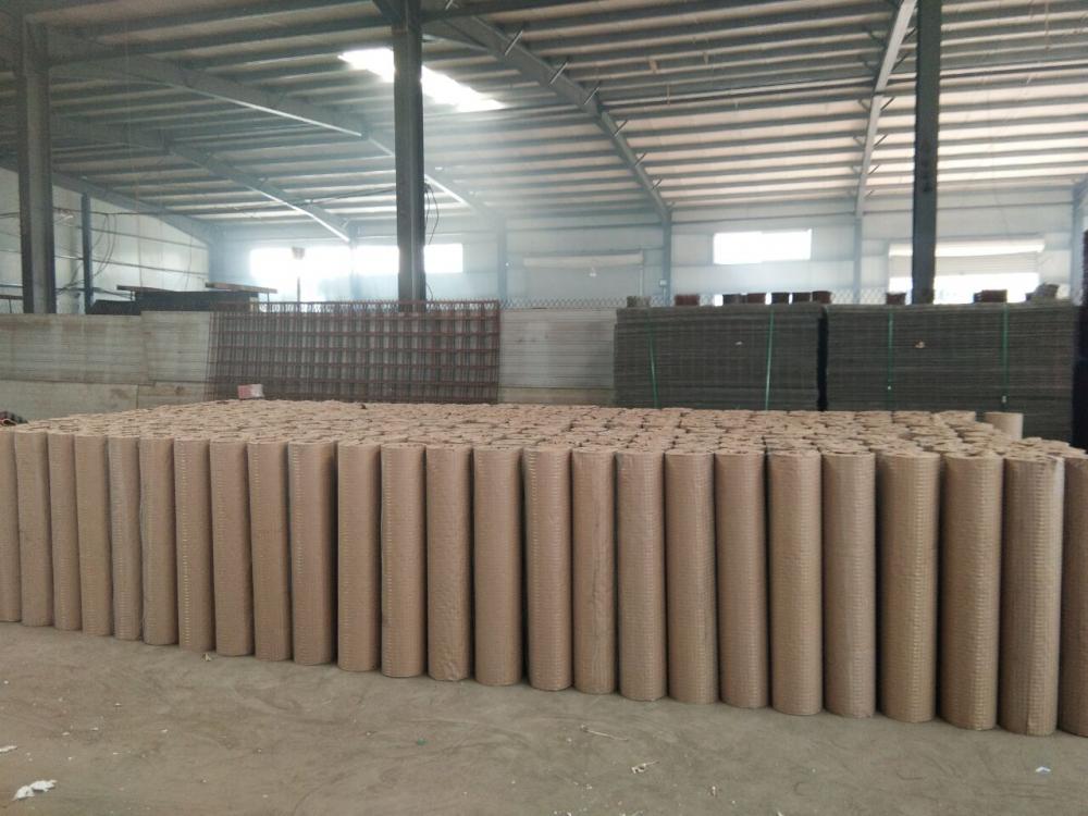 galvanized welded wire mesh factory