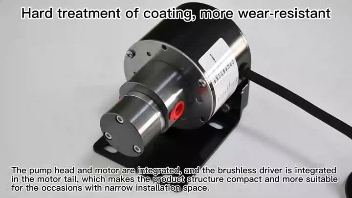 Bomba de engrenagem integral de 0,30cc