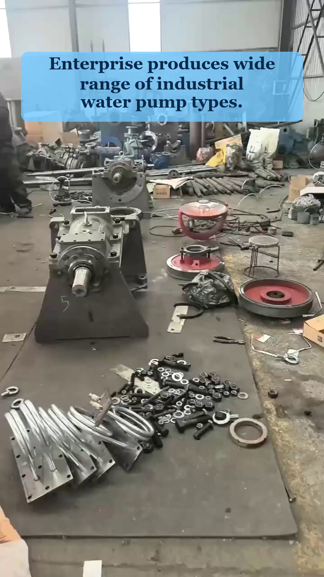 Video 31