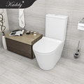 Space-Saving Rimless Two-Piece Watermark Toilet1