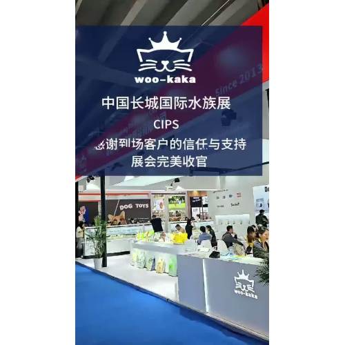 Vídeo de exposición