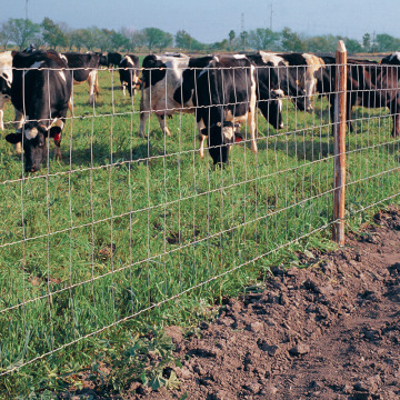 Top 10 Most Popular Chinese Goat Cattle Field Fence Brands