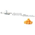Industrial Production of Puffed Cereal Snack Chips and Maize Porridge: Extruder and Dryer Technology1