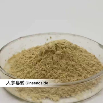 ginsenoside power