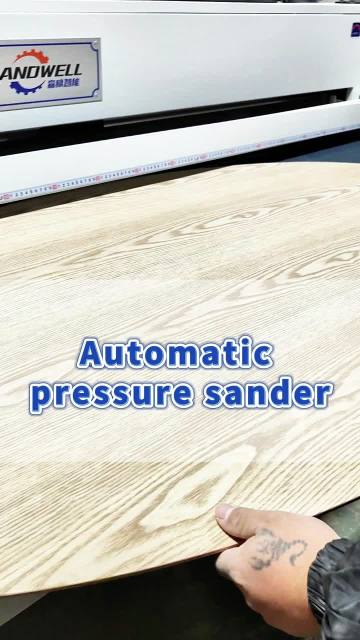 SSA25-H2 Wood Veneer Sanding