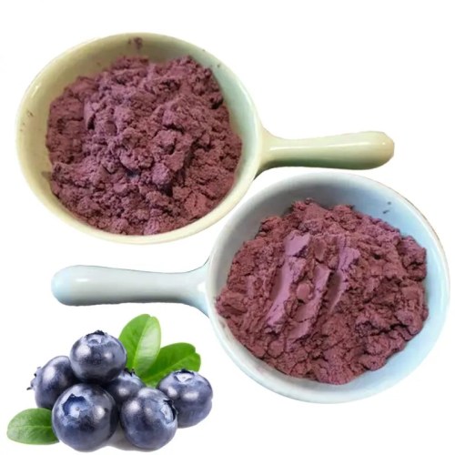 The Benefits of Organic Blueberry Powder for Your Health