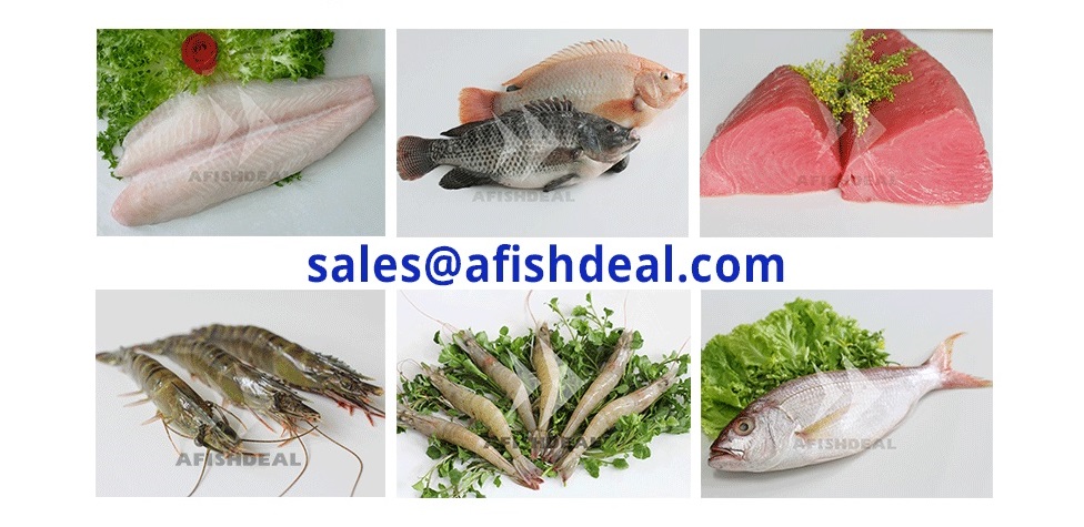 DONG PHUONG FISH & SEAFOOD COMPANY LIMITED