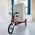 Enclosed Heavy Duty eCargo e-Bike: Your Reliable Downtown Delivery Solution with a 750W Electric Trike1
