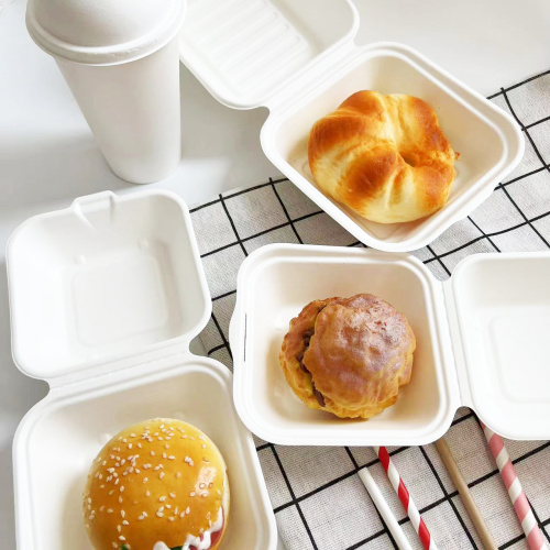 Bagasse burger boxes